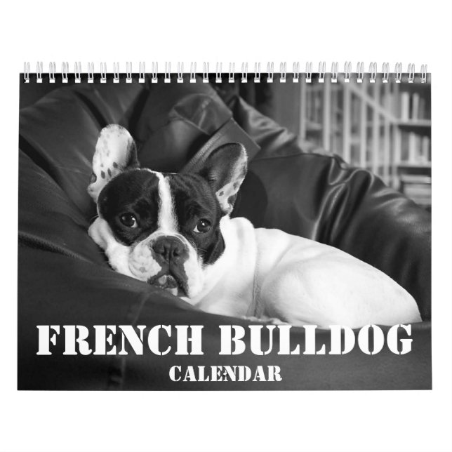Français Bulldog Calendrier 2023 Photos noir blanc (Protection)