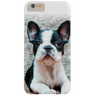 Français Bulldog iPhone 6 Plus Coque