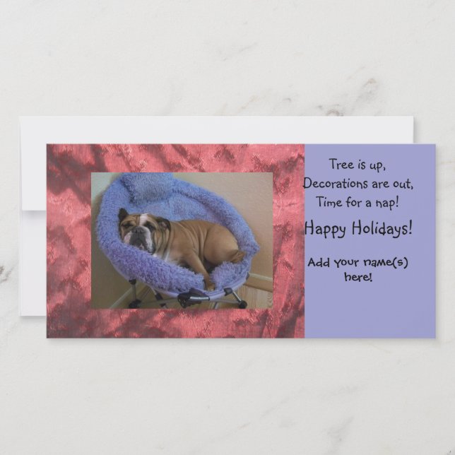 Français Bulldog Photo Carte de fin de année de No (Devant)