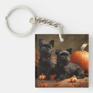 Français Chien Chien Chien Chien Chien Puppy Autom