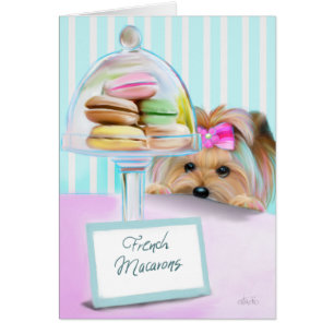 Français Macarons de Yorkie
