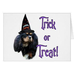 Français Toy Spaniel Trick