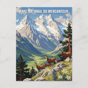 France Mercantour National Park Travel Postkarte