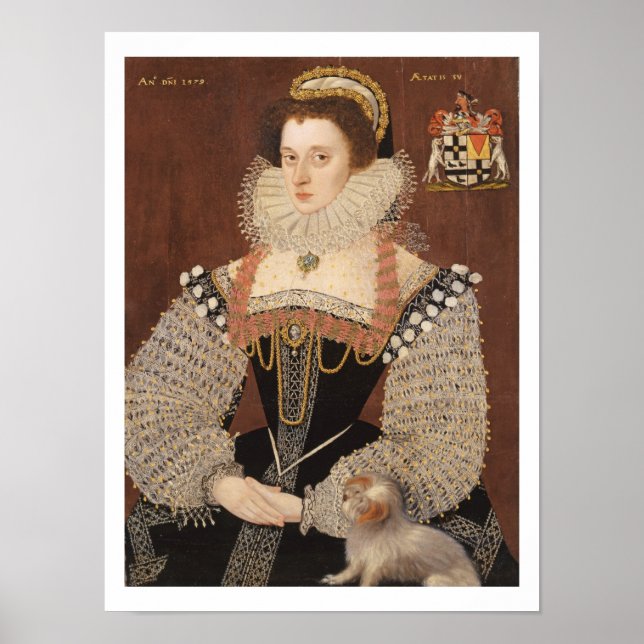 Frances Clinton, Lady Chandos (1552-1623) 1579 (oi Poster (Vorne)