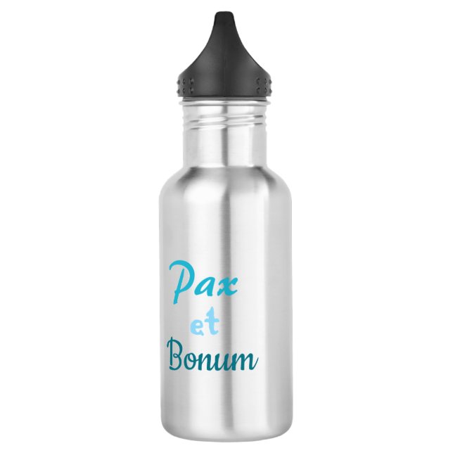 Franciscan Peace and All Good Water Bottle Edelstahlflasche (Links)