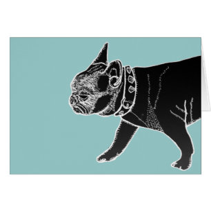 Francois die französische Bulldogge