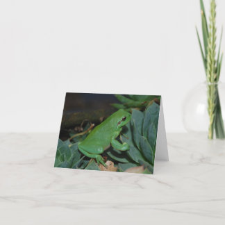 Francoise der Frosch Feiertagskarte