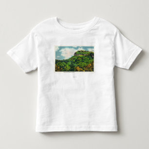 Franconia Kerben-Staats-Park-Ansicht des indischen Kleinkind T-shirt