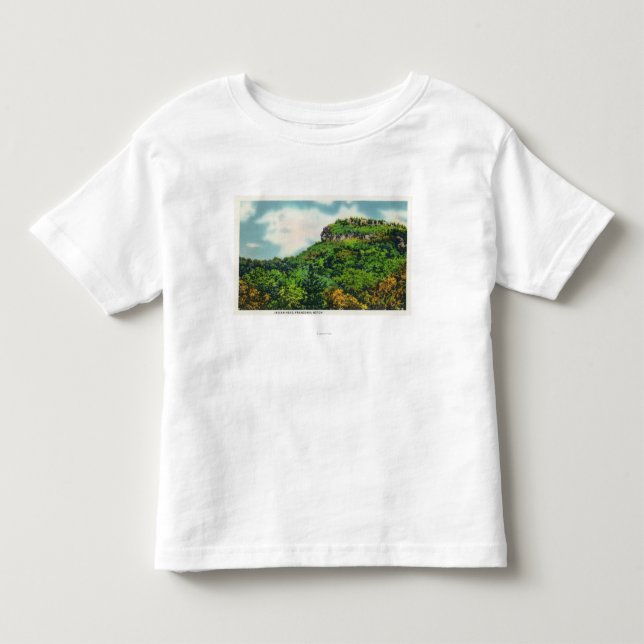 Franconia Kerben-Staats-Park-Ansicht des indischen Kleinkind T-shirt (Vorderseite)
