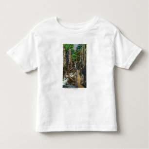 Franconia Kerben-Staats-Park Kleinkind T-shirt