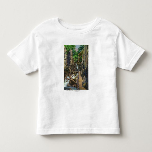 Franconia Kerben-Staats-Park Kleinkind T-shirt (Vorderseite)