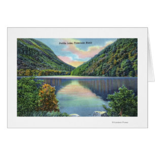 Franconia Notch Ansicht des Profilsees