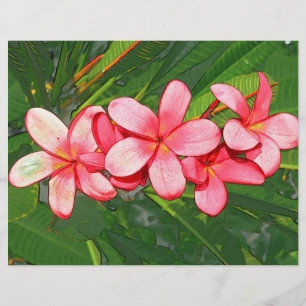 Frangipani