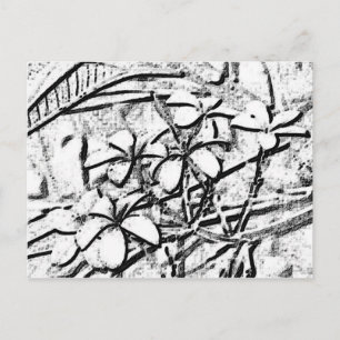 Frangipani Bleistiftkunst Postkarte