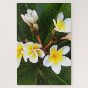 Frangipani Blossom Cluster Artistic Style