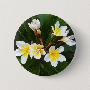 Frangipani Blossom Cluster Artistic Style Button