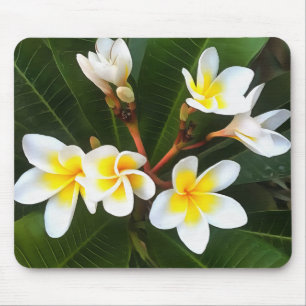 Frangipani Blossom Cluster Artistic Style Mousepad