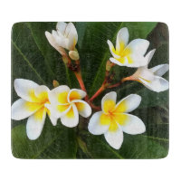 Frangipani Blossom Cluster Artistic Style