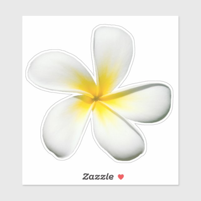 Frangipani Blossom Sticker (Blatt)