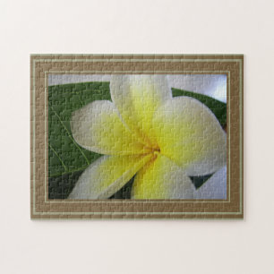 Frangipani-Blume