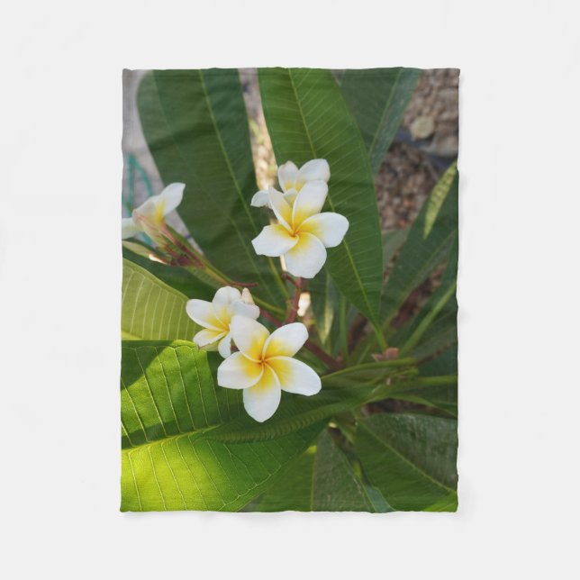 Frangipani-Blume Fleecedecke (Vorderseite)