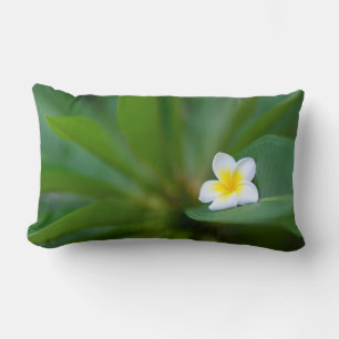 Frangipani Blume Lendenkissen