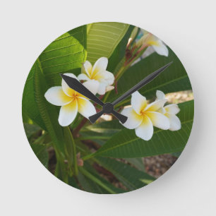 Frangipani-Blume Runde Wanduhr