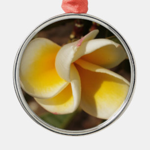 Frangipani-Blume Silbernes Ornament