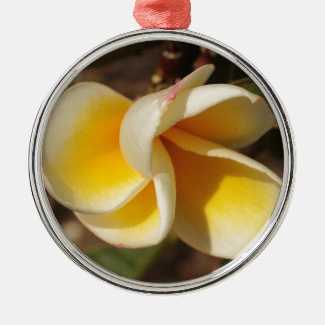 Frangipani-Blume Silbernes Ornament (Vorne)
