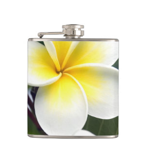 Frangipani-Blüte Cookinseln Flachmann