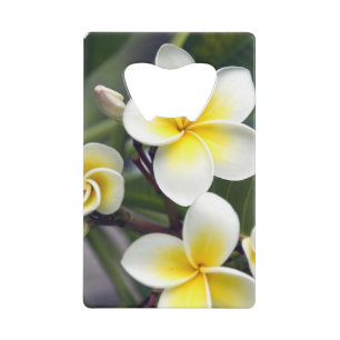 Frangipani-Blüte Cookinseln Geldkarten Flaschenöffner