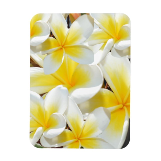 Frangipani Bouquet, Flexible Magnet (Vertikal)