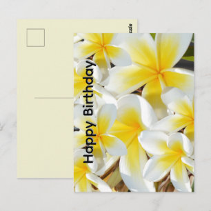 Frangipani_Bouquet, Geburtstagspostkarte Postkarte
