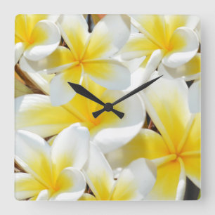 Frangipani Bouquet, große Uhr an der Wand.