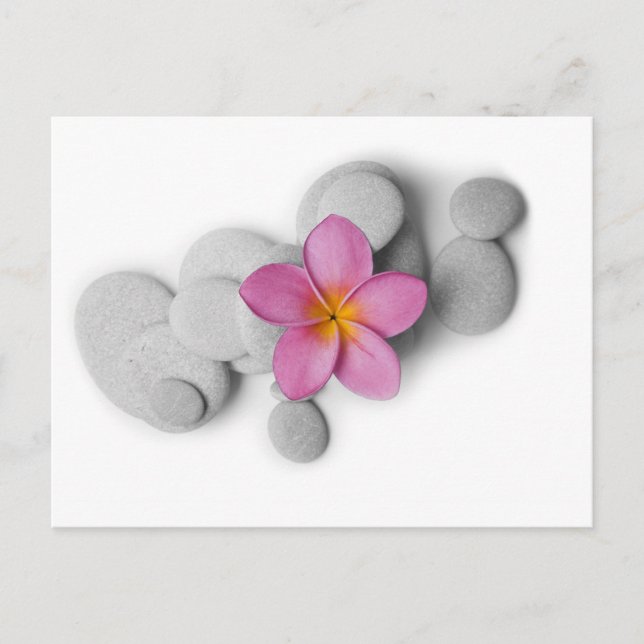 Frangipani Calm Postkarte (Vorderseite)