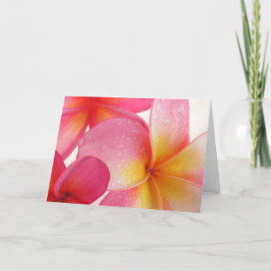 Frangipani Card Karte