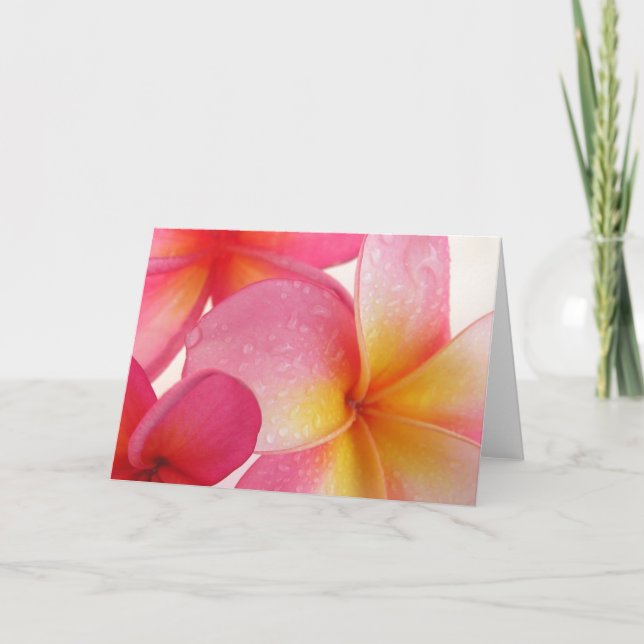 Frangipani Card Karte (Vorderseite)
