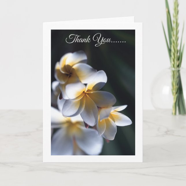 Frangipani carte de remerciements à fleurs (Devant)