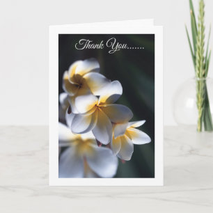 Frangipani carte de remerciements à fleurs