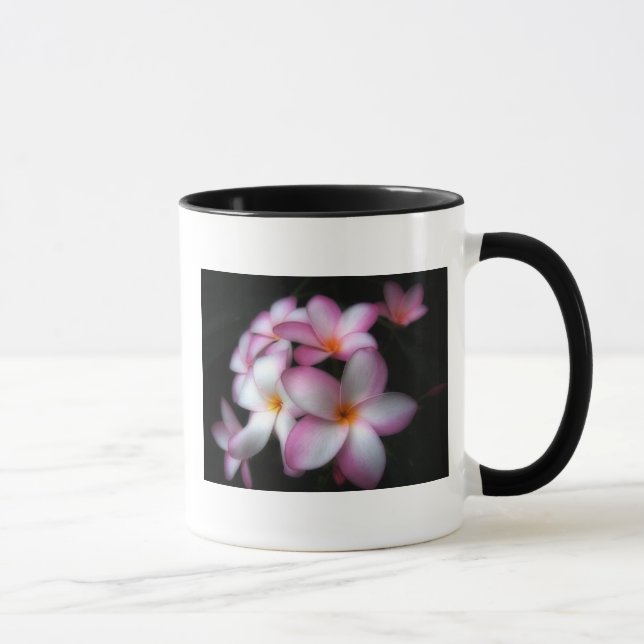 Frangipani dans la tasse de fleur (Droite)