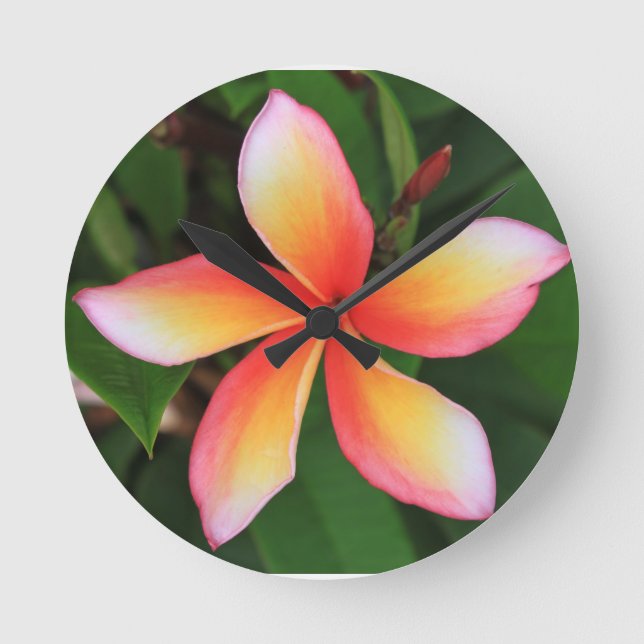 Frangipani flower runde wanduhr (Vorderseite)