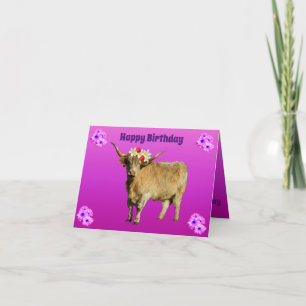 Frangipani, Highland Cow, Karte