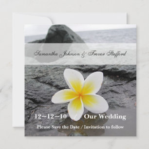 Frangipani-Hochzeit Save-the-Date-Ankündigungen Save The Date