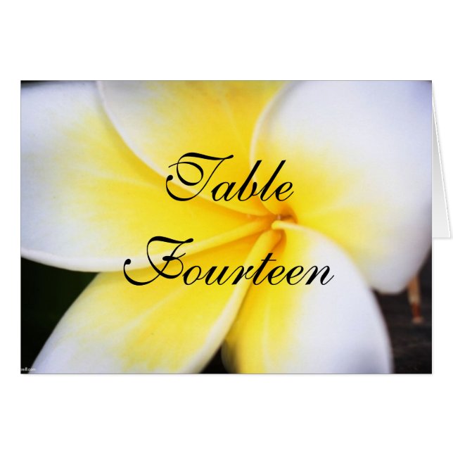 Frangipani - Hochzeitkarten für Tischnummer (Vorderseite (Horizontal))