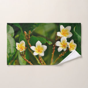 Frangipani jaune