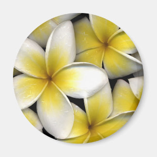 Frangipani Magnet