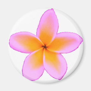Frangipani Magnet