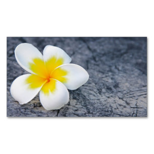 Frangipani Magnetische Visitenkarte