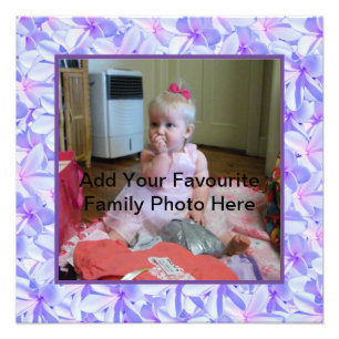 Frangipani Mauve Et Rose, Photo