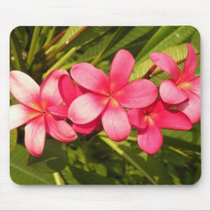 Frangipani Mousepad